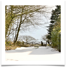 JB june bannister red lodge arley - June Bannister